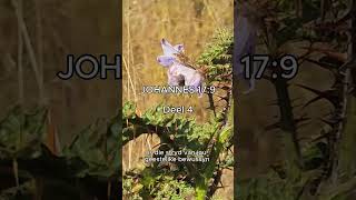 Koninkryk Bid - Johannes 17:9 Deel 4