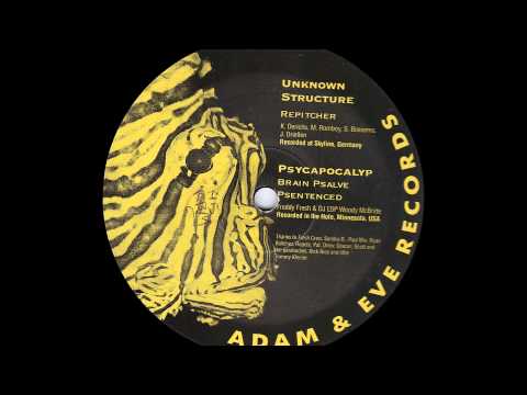 Unknown Structure — Unknown Structure - Repitcher (1993)