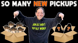 Unboxing 5 New Snakes & They ARE NOT Ball Pythons!