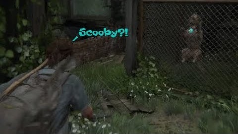 Dog Friendly Run - part 2 | Hillcrest (No kills) | The Last of Us II