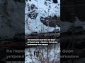 Мужчина на фуре устроил шоу в пробке Сигналом развлекал всех вокруг Стоять в пробке было совсем