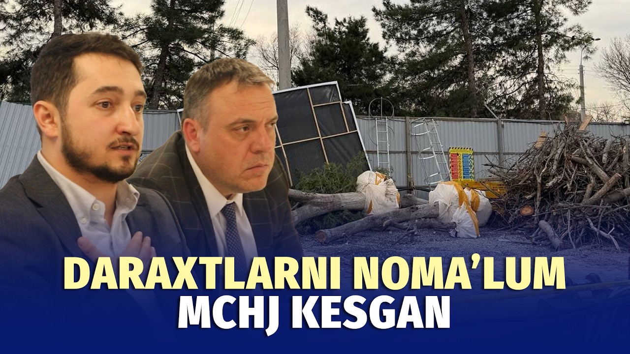 Milliy bog‘dagi qurilishda daraxtlar uchun kim javob beradi?