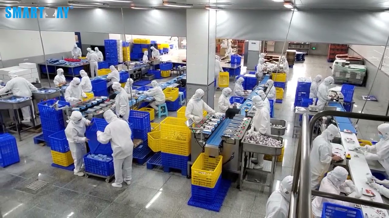 Semi-automatic 12 Head Linear Combination Weigher Packing System in Customer's Production Factory