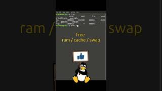 Linux Terminal Kurs 20 - free  / ram /cache / swap