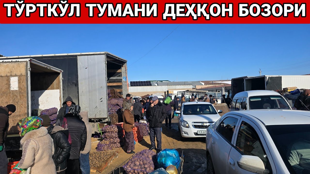 ТЎРТКЎЛ ТУМАНИ ДЕҲҚОН БОЗОРИДАГИ КАРТОШКА 🥔ПИЁЗ 🧅КАРАМ НАРХИ БИЛАН ТАНИШАМИЗ👍#automobile 