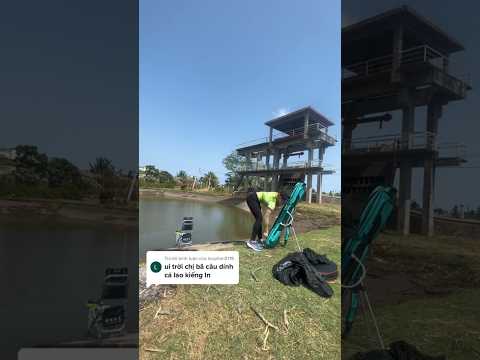 Cô gái thích đi câu cá #cauca #fishing #câucá #caucagiaitri