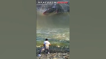 SCARY! THE MOMENT OF A GIANT STURGEON PASSED WHEN A MAN GOT A FISH #sturgeon #fish #yearofyou