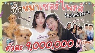 Surprise my sister with a 9,000,000-worth puppy !!! | Aom Sushar