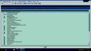 SAP HR Employee Groups