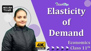 Elasticity of Demand economics class 11 - Explained with Animated Examples