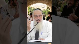כך תלמידי חכמים מרבים שלום בעולם ⚖️💛 | הרב אליהו רוסתמי