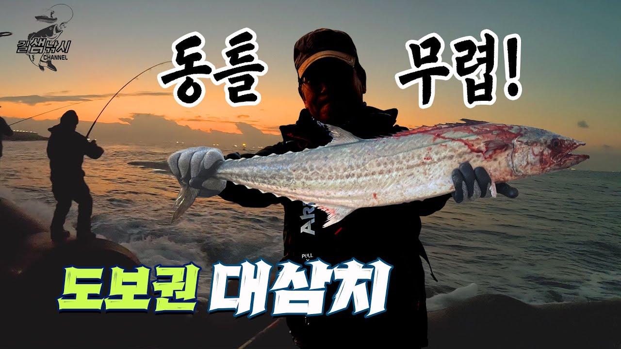 동틀무렵 대물사냥! 도보권, 대삼치 한 마리면 충분하다! [길샘낚시]