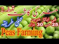 40 how to use urea fertilizer in peas crop  cultivation to harvesting  vegetables  part2