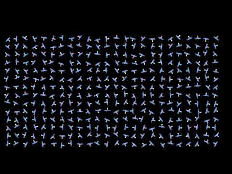 Bloopers 16: DNA or TIE fighters?
This is the second (failed) attempt at simulating something resembling DNA molecules, after the first failed attempt shown in the video https://youtu.be/AWKJoWO0w2A . 
Each T-shaped molecule in this simulation represents a nucleotide, consisting of a phosphate-deoxyribose backbone, and one nucleic base among adenine (A), thymine (T), guanine (G) and cytosine (C). Atoms belonging to different molecules interact via a Lennard-Jones potential, while atoms within the same molecule interact with a stiff harmonic potential. Whenever two ends of T-bars come close to each other, they react to become attached. In a similar way, adenine and thymine can attach to each other, as well as cytosine and guanine.
The problem in the previous video was that a pair of nucleotides could attach more than once. Here this situation is ruled out, by allowing only one reaction between different nucleotides. However, due to a coding error, only bases can attach, while reactions between backbones do not occur. The resulting molecules thus look more like TIE-fighters than DNA molecules. A forthcoming simulation will correct that.
The video has two parts, showing the same simulation with two different color schemes:
Type: 0:00
Orientation: 1:24
In the first part, the particles color hue depends on their type. The base types appear in the following colors: A red, T yellow, C green, G cyan. In the second part, it depends on their orientiation. 
To save on computation time, particles are placed into a hash grid, each cell of which contains between 3 and 10 particles. Then only the influence of other particles in the same or neighboring cells is taken into account for each particle. 
The temperature is controlled by a thermostat, implemented here with the Nosé-Hoover-Langevin algorithm introduced by Ben Leimkuhler,  Emad Noorizadeh and Florian Theil, see reference below. The idea of the algorithm is to couple the momenta of the system to a single random process, which fluctuates around a temperature-dependent mean value. Lower temperatures lead to lower mean values. 
The Lennard-Jones potential is strongly repulsive at short distance, and mildly attracting at long distance. It is widely used as a simple yet realistic model for the motion of electrically neutral molecules. The force results from the repulsion between electrons due to Paulis exclusion principle, while the attractive part is a more subtle effect appearing in a multipole expansion. For more details, see https://en.wikipedia.org/wiki/Lennard-Jones_potential
Render time: 13 minutes 6 seconds
Compression: crf 23
Color scheme: Part 1 - Turbo, by Anton Mikhailov
https://gist.github.com/mikhailov-work/6a308c20e494d9e0ccc29036b28faa7a
Part 2 - HSL/Jet
Music: Stanley Sharke by Twin Musicom is licensed under a Creative Commons Attribution 4.0 licence. https://creativecommons.org/licenses/by/4.0/
Source: http://www.twinmusicom.org/song/306/stanley-sharke
Artist: http://www.twinmusicom.org
Reference: Leimkuhler, B., Noorizadeh, E. & Theil, F. A Gentle Stochastic Thermostat for Molecular Dynamics. J Stat Phys 135, 261–277 (2009). https://doi.org/10.1007/s10955-009-9734-0
http://www.maths.warwick.ac.uk/~theil/HL12-3-2009.pdf
Current version of the C code used to make these animations: 
https://github.com/nilsberglund-orleans/YouTube-simulations
https://www.idpoisson.fr/berglund/software.html
Some outreach articles on mathematics:
https://images.math.cnrs.fr/_Berglund-Nils-1343_.html
(in French, some with a Spanish translation)
#molecular_dynamics #dna  Bloopers 16: DNA or TIE fighters?