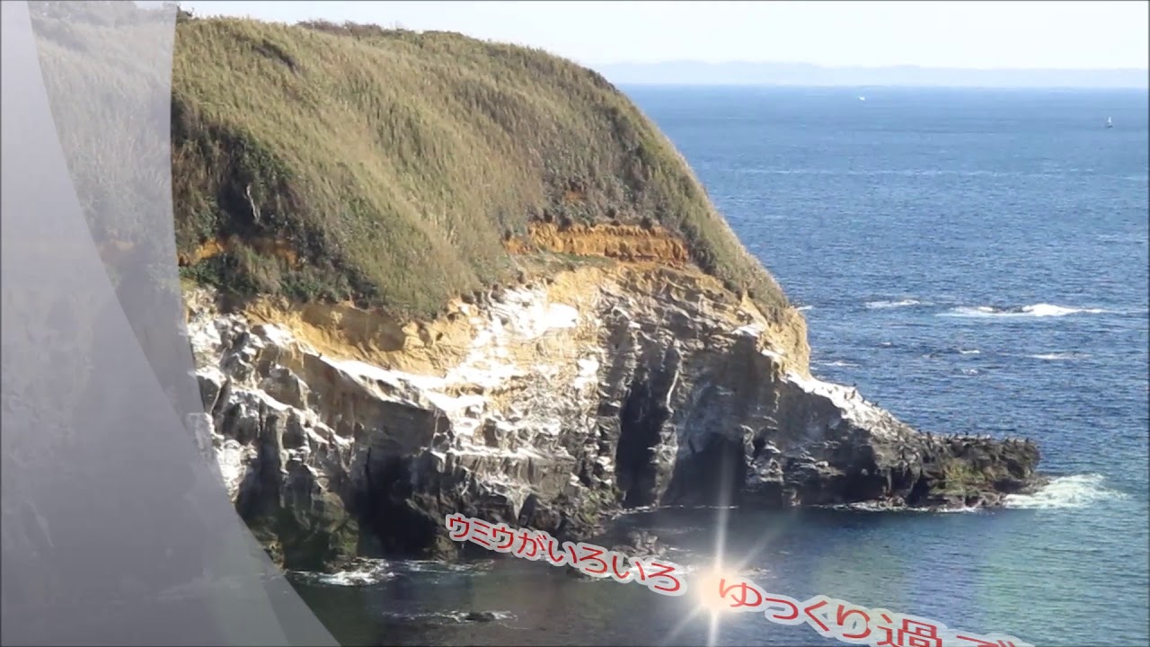 城ケ島ウミウ展望台ウミウ展望台 19年1月23日 Youtube
