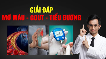 Mỡ máu - Gout - Tiểu đường