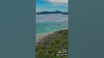 إنك لا تهدي من أحببت #سورة_القصص #القرآن_الكريم #فارس_عباد #اكسبلور #راحة_نفسية #لايك #تلاوة_خاشعة