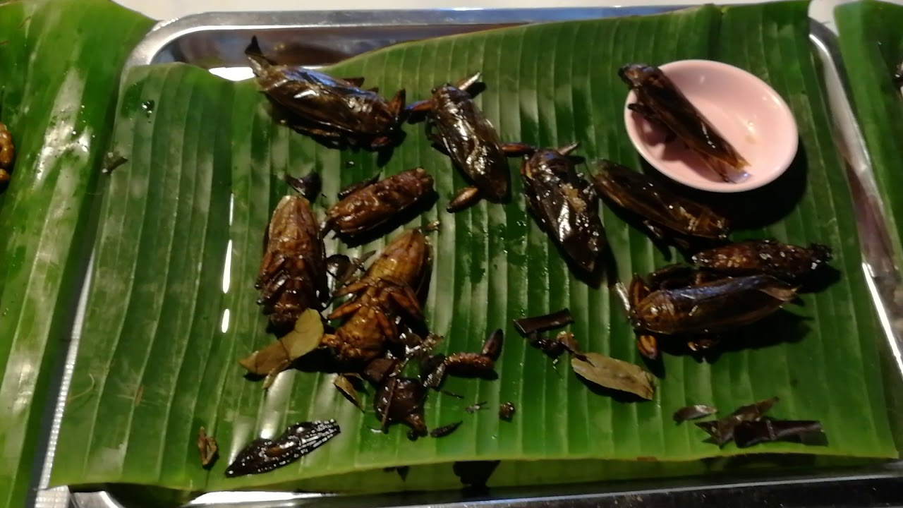 Жареные Тараканы Фото — Nyafoto.ru