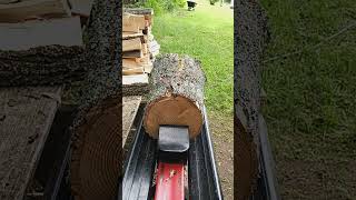 HARBOR FREIGHT 5 TON ELECTRIC LOG SPLITTER #harborfreight #logsplitter #harborfreighttools