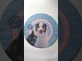 Memorializing A Pet Through Art Memorializing A Pet Through Art