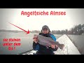 Lachsforellen Angeln Spoon Angelteich Almsee Big Trout Fishing Bienenmade Forellenangeln im Winter