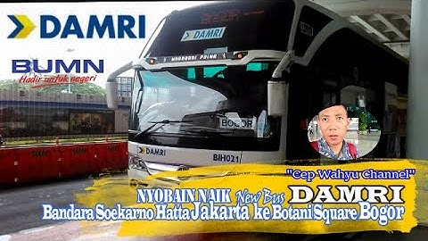 Nyobain naik | New Bus DAMRI | Bandara Soekarno-Hatta Jakarta ke Botani Square Bogor