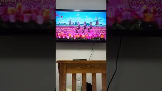 IMG 08851