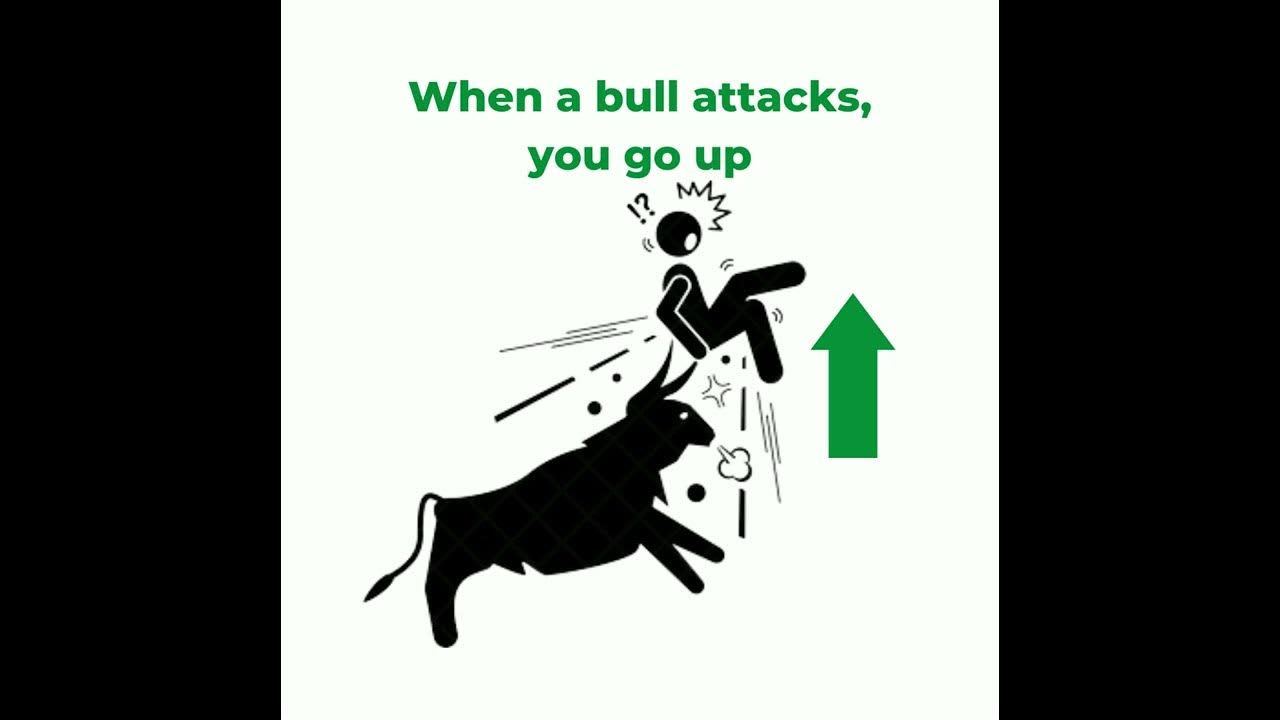 what-does-bull-market-and-bear-market-mean-youtube
