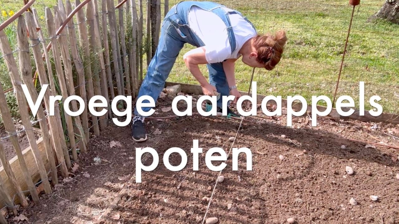 Ini's Moestuin #269 Maart: Vroege aardappels poten. Tuinbonen, doperwten, sla, spinazie uitplanten.