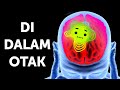 Perjalanan di Dalam Otak