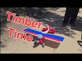 Timber-X Through the Trees 🌳
