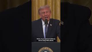 Trump demands Congress pass SAVE America Act 'now'