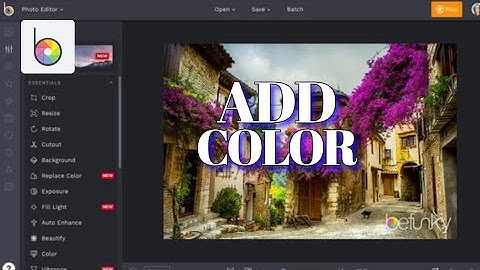 How to Add Color in Befunky 2025?