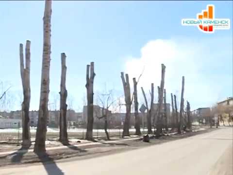 Программа 'Время по Компасу' - Кронирование деревьев (05.04.19)