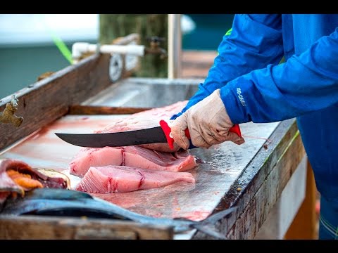 How To Sharpen A Fillet Knife hqdefault