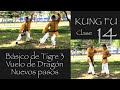 Básico de tigre 3, Nuevos pasos de vuelo de dragón "Clase 14 de Kung Fu"