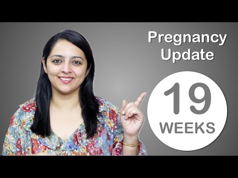 Week 19 Pregnancy Update | प्रेगनेंसी का उनीसवाँ  हफ्ता कैसा होता है?