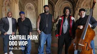 Nyc Central Park Doo Wop Singing Group Cover Story - A Capella - New York Live Music - Feb 23, 2022
