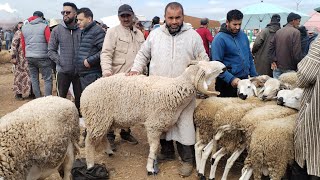 الله يعطينا الرخاء و فوق الرخاء اليوم مباشرة من سوق أربعاء مكناس تمن حولي موجود وشاري الله يجيب 😱 