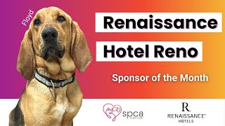 The Renaissance Reno Downtown Hotel & Spa | February Sponsor of the Month