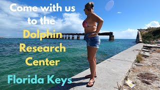 Dolphin Research Center, Florida Keys, Amazing Work!