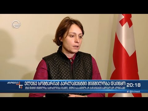ელენე ხოშტარიამ პარლამენტის შენობაში შიმშილობა დაიწყო