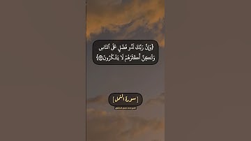 سورة النمل الآية ٧١ الى ٧٥ بصوت الشيخ محمد صديق المنشاوي
