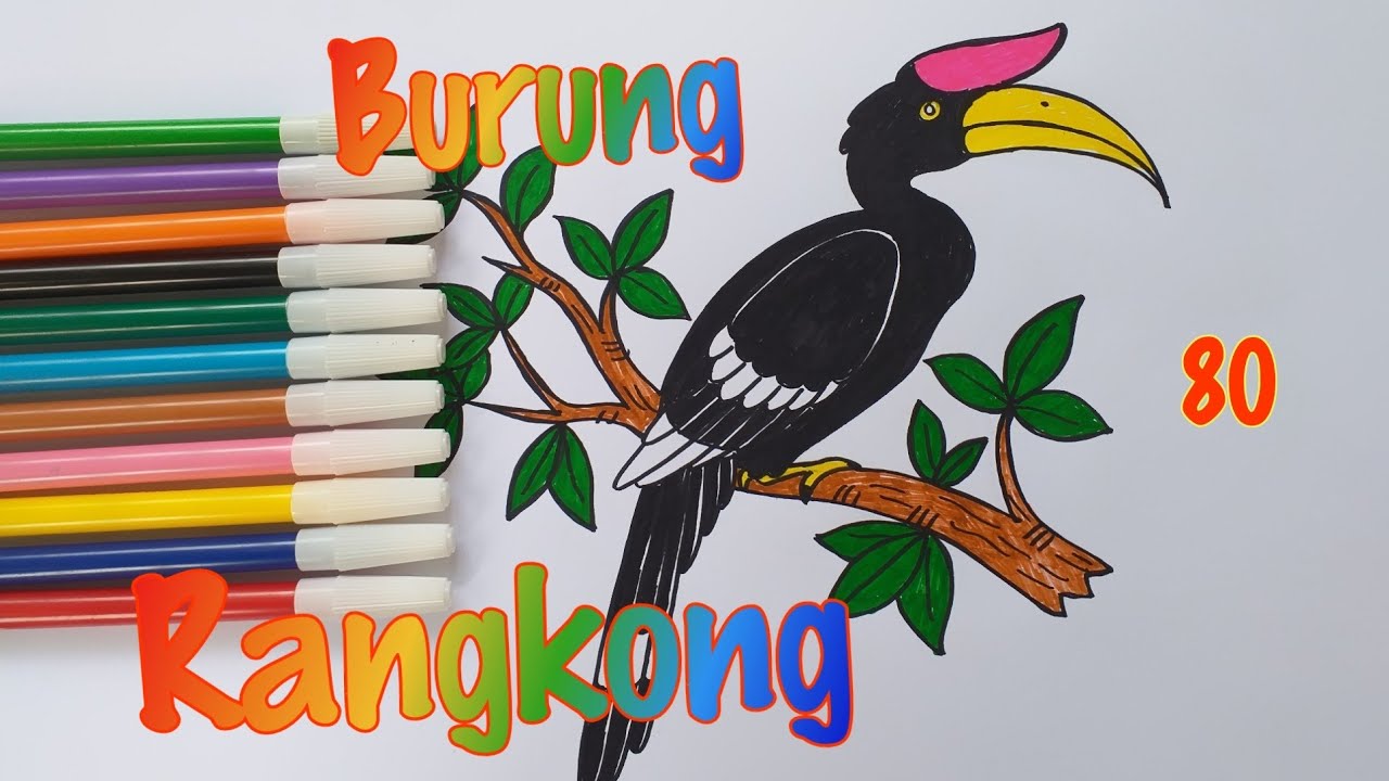 40 Sketsa Gambar Burung Rangkong Terbaru