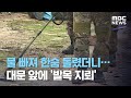 물 빠져 한숨 돌렸더니…대문 앞에 '발목 지뢰' (2020.08.07/뉴스데스크/MBC)