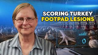 Navigating the Challenges of Footpad Dermatitis in Turkeys - Dr. Sally Noll