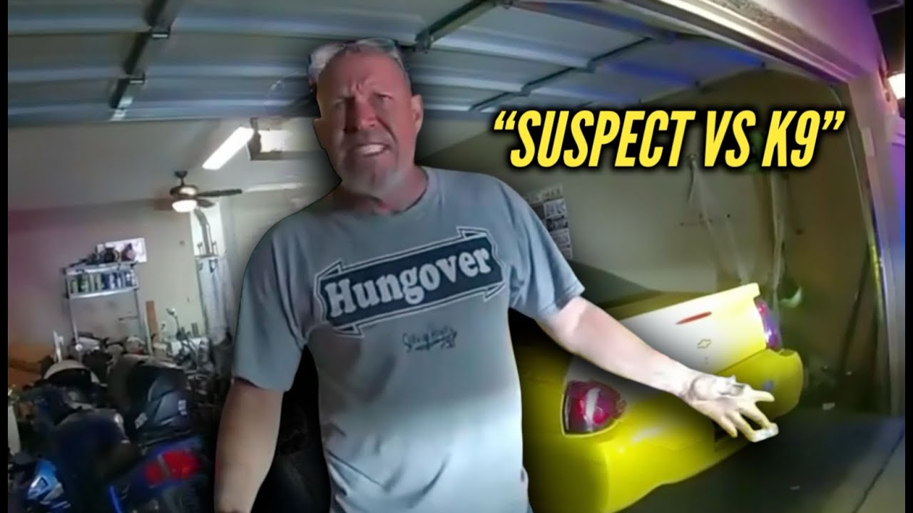 Aggressive Suspect VS K9 Dog - YouTube