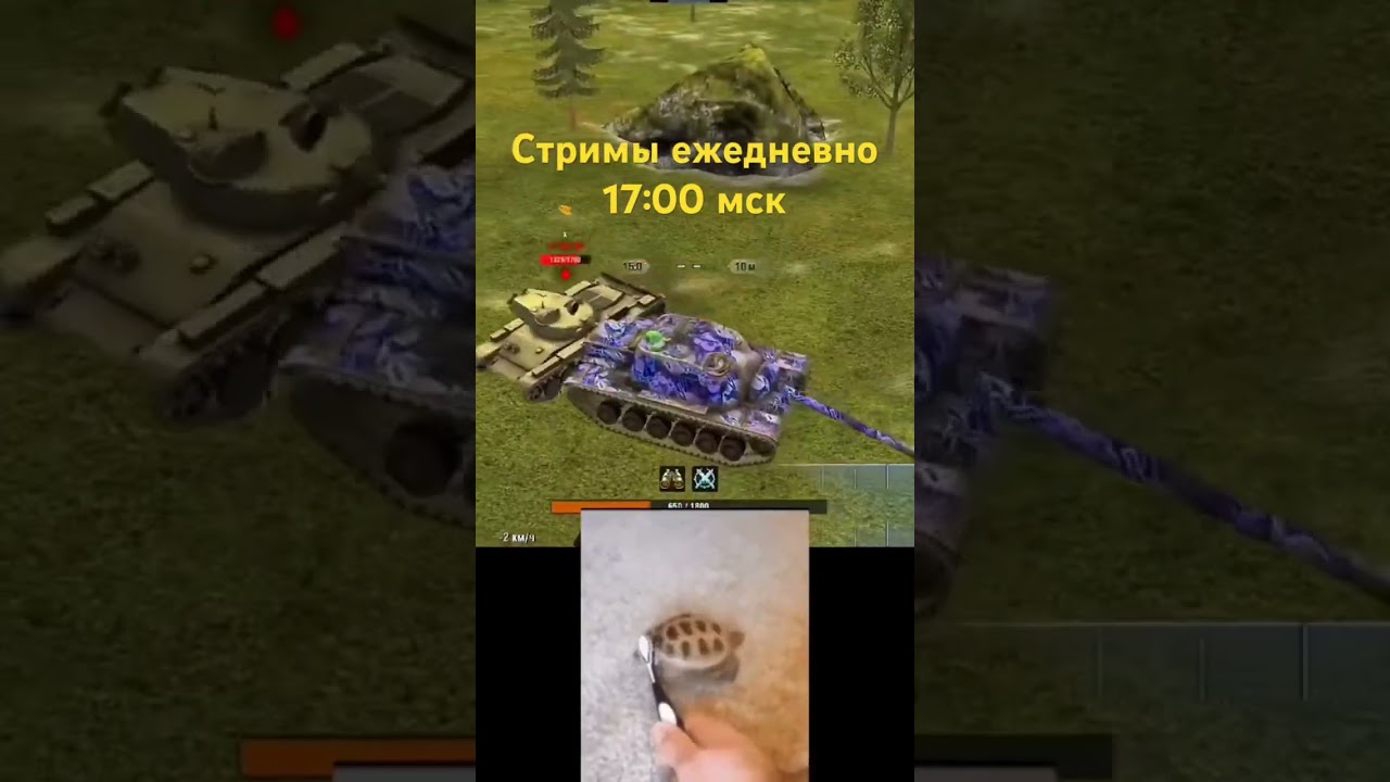 Беспомощная черепаха 