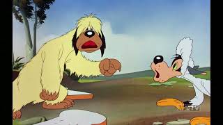 PUBLIC DOMAIN CARTOONS "The Sheepish Wolf" (1942)- Merrie Melodies *HD 1080p*