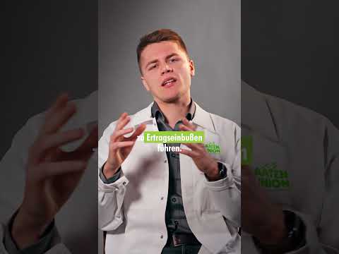 Mehr Pollen = mehr Ertrag? Genau das ist der Denkfehler! | Züchter HYBRO | MultiTec | #shorts